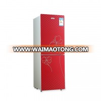 national household appliances dc solar power 12V low voltage r600a double door refrigerator