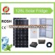 DC12V 128L Solar power refrigerator solar fridge for Africa,middle east,South America